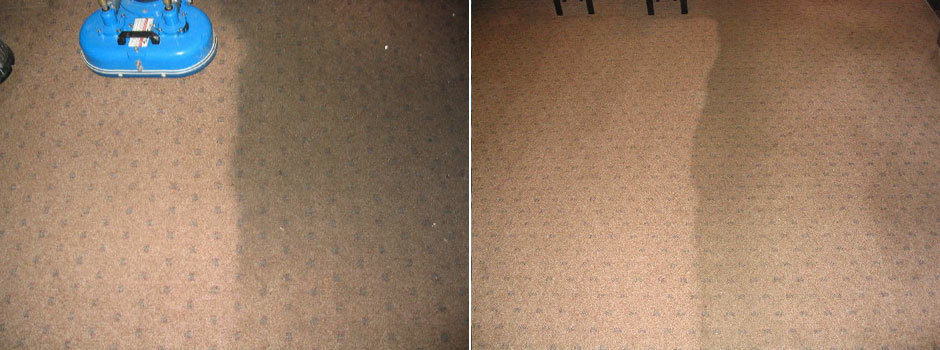 Rug & Carpet Cleaning Niagara